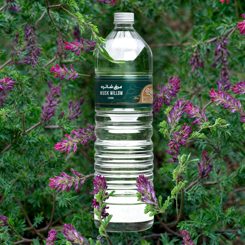 بررسی خواص عرق شاتره 