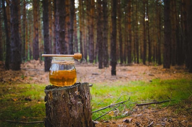 عسل کوهی در طبیعت