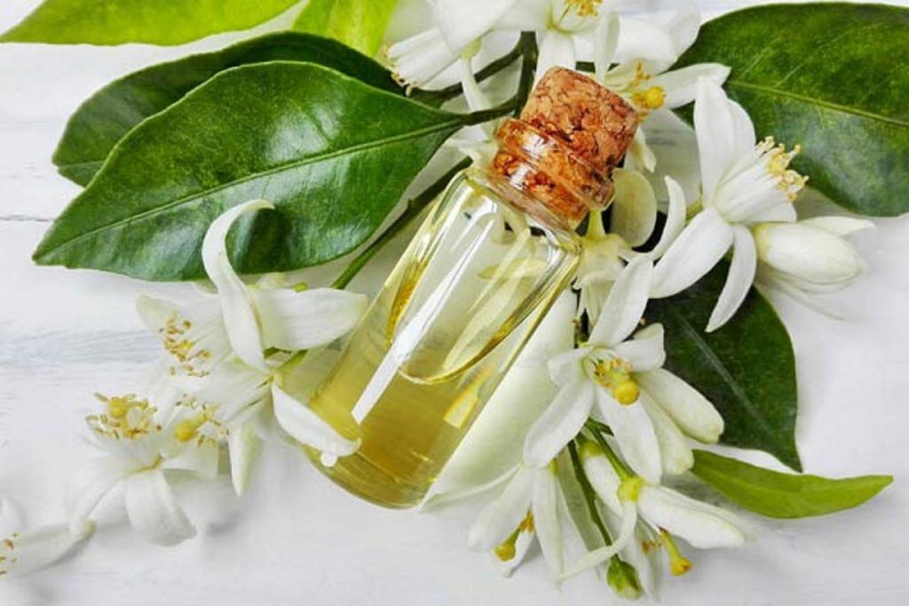 طبع عرق بهارنارنج چیست؟ (گرم یا سرد) و مناسب چه مزاجی است؟