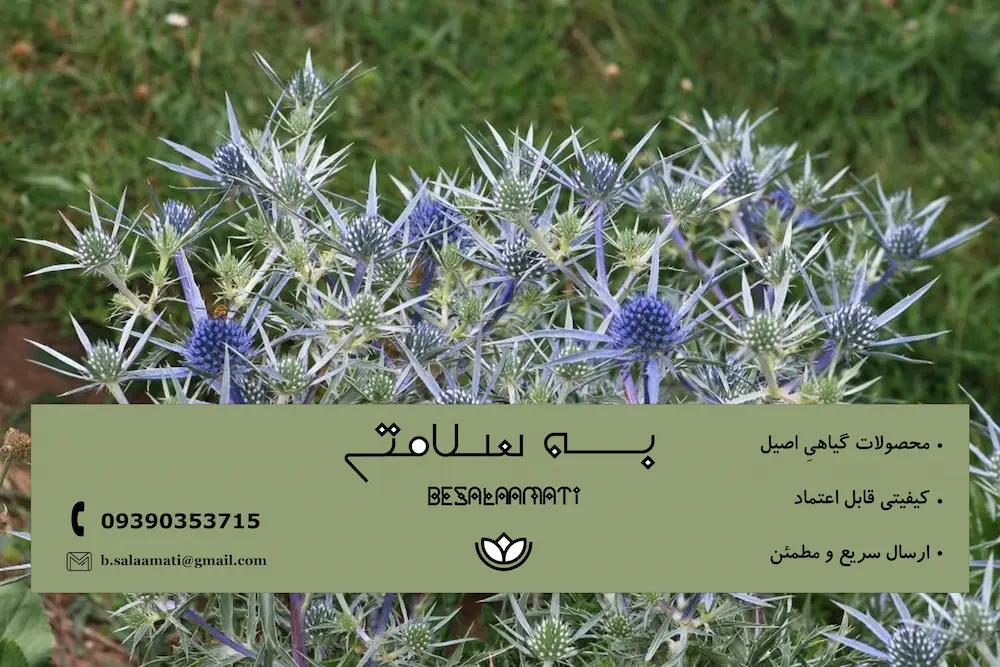 شربت بوقناق 