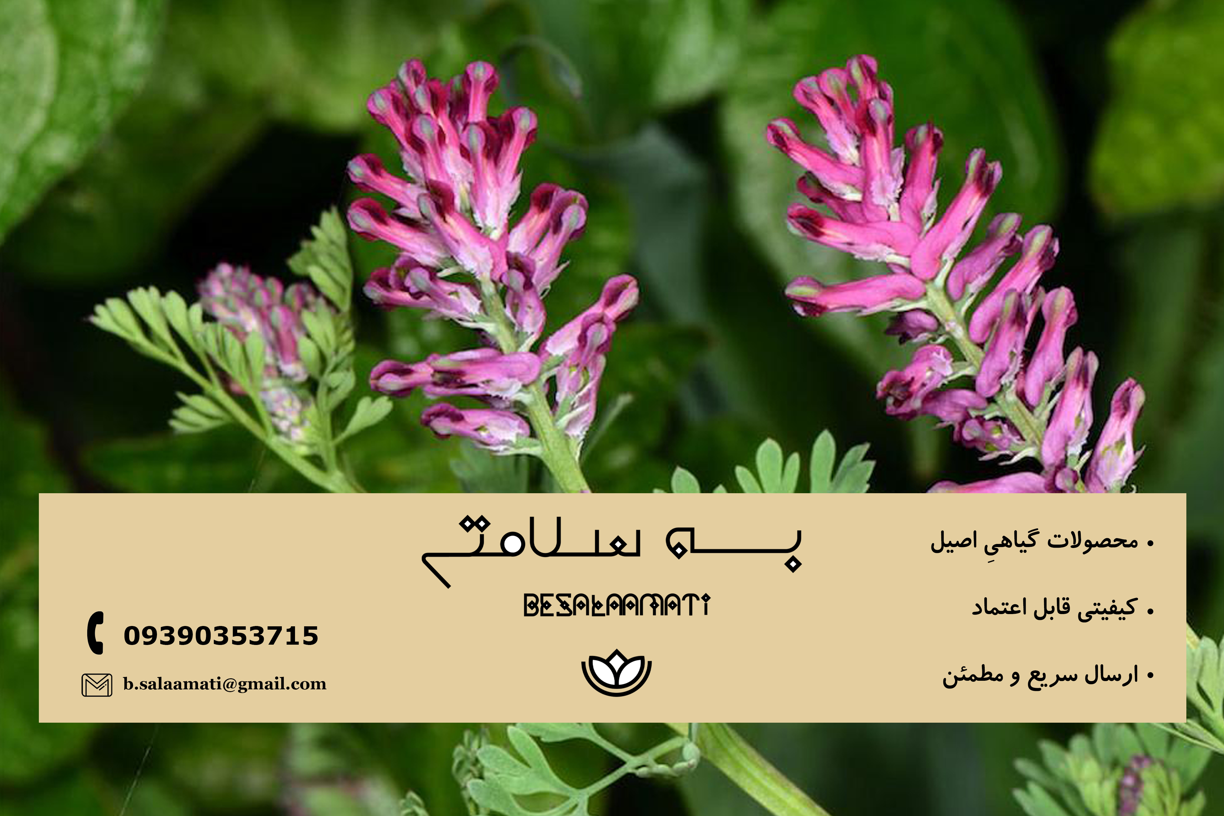 برای کبد چرب چی بخوریم؟ راهنمای کامل تغذیه سالم