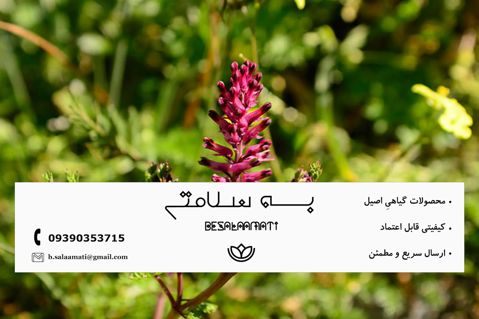 خرید عرق شاه‌تره برای کنترل قند خون و چربی