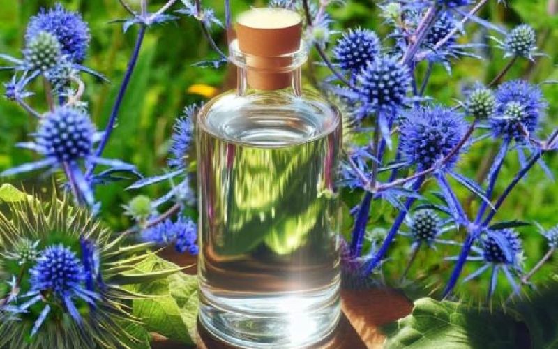طرز مصرف صحیح عرق بوقناق برای دیابت نوع ۱ و ۲